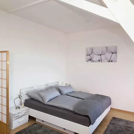 Wiesental-lounge Affittacamere Steinen (Lorrach)