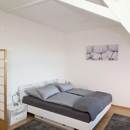 Wiesental-lounge Affittacamere
